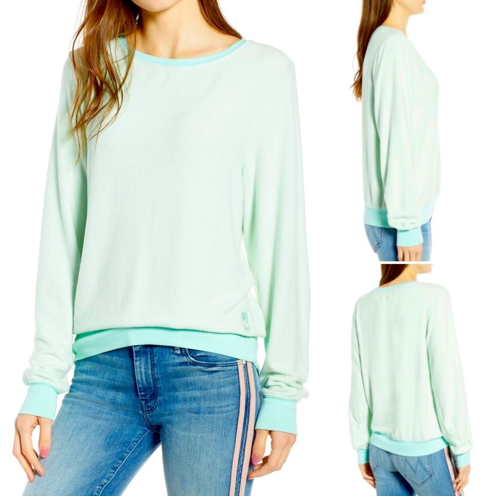 Lovingly Worn Wildfox Basic Crew Baggy Beach Jump… - image 1